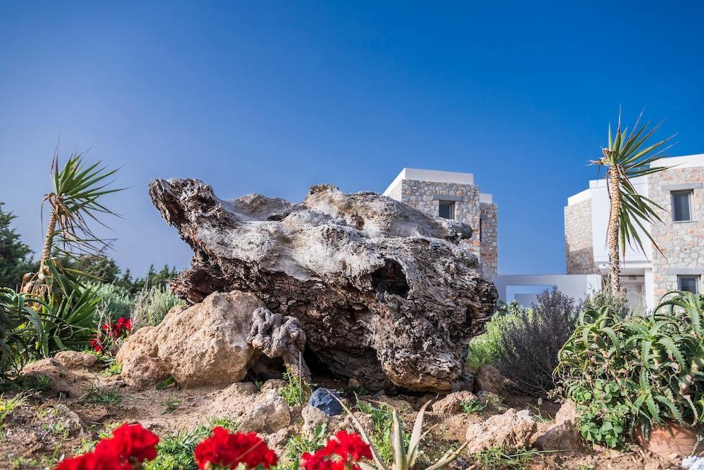 פליאוחורה Cedar Bay Beachside Villas מראה חיצוני תמונה