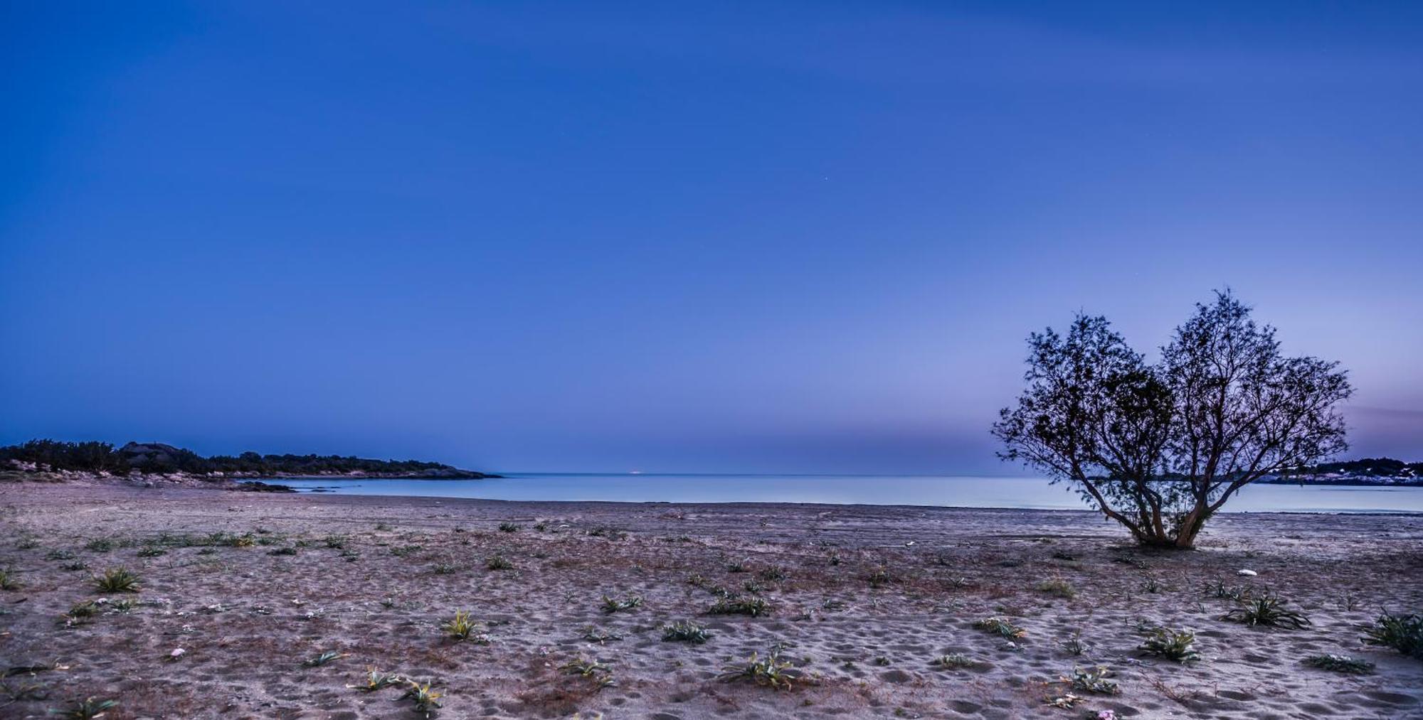 פליאוחורה Cedar Bay Beachside Villas מראה חיצוני תמונה